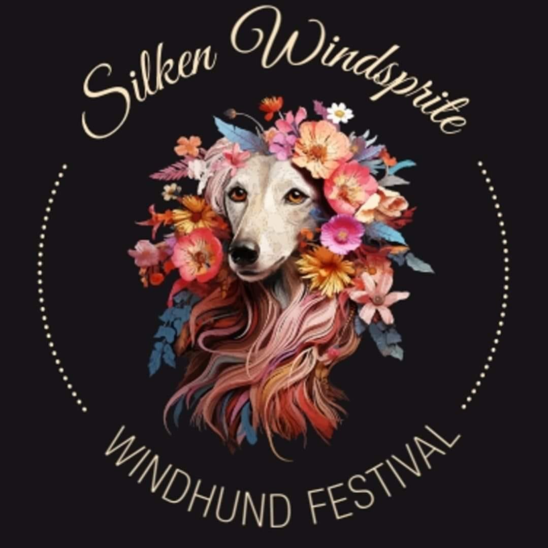 Silken Windsprite Windhund Festival MV 04.05.2024*