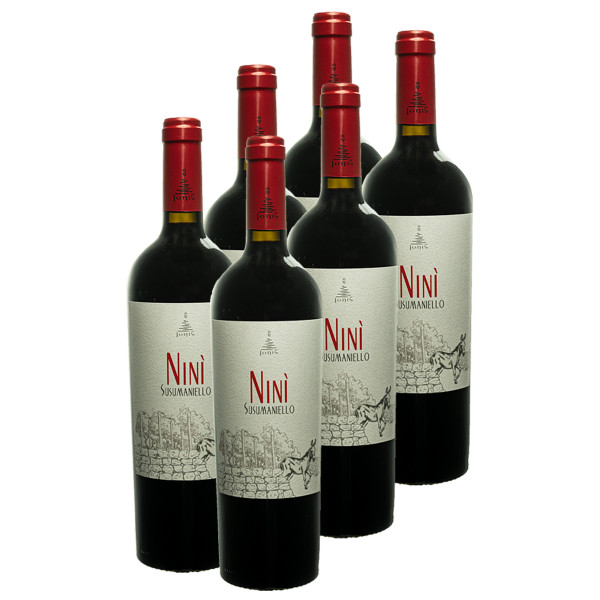 6 x NINI Susumaniello 0,75l (13,5%Vol.) 2019