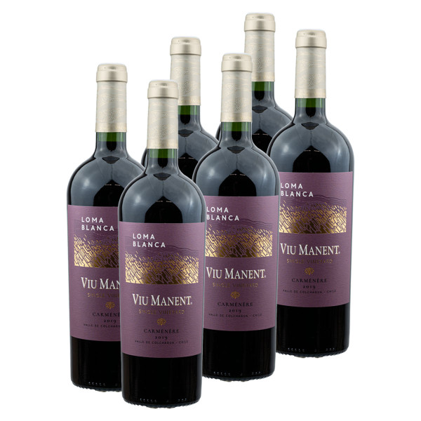 6 x Single Vineyard Carménère &quot;Loma Blanca&quot; 0.75l (14%Vol.) Rotwein - Viu Manent, Chile