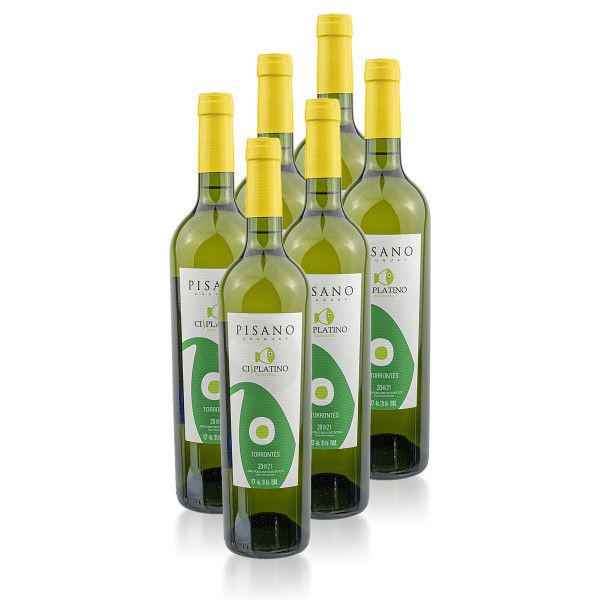 6 x Cisplatino Torrontes 0.75l (13%Vol.) Weißwein, Pisano, Uruguay