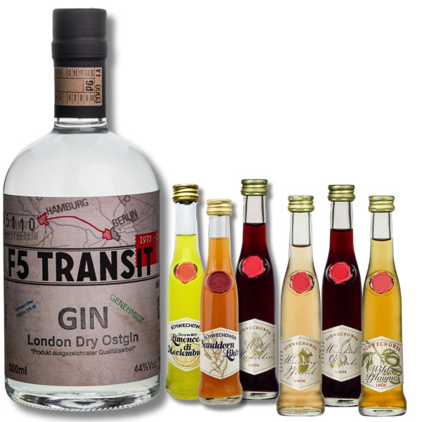GIN + 6 Kleine Liköre (Mix)