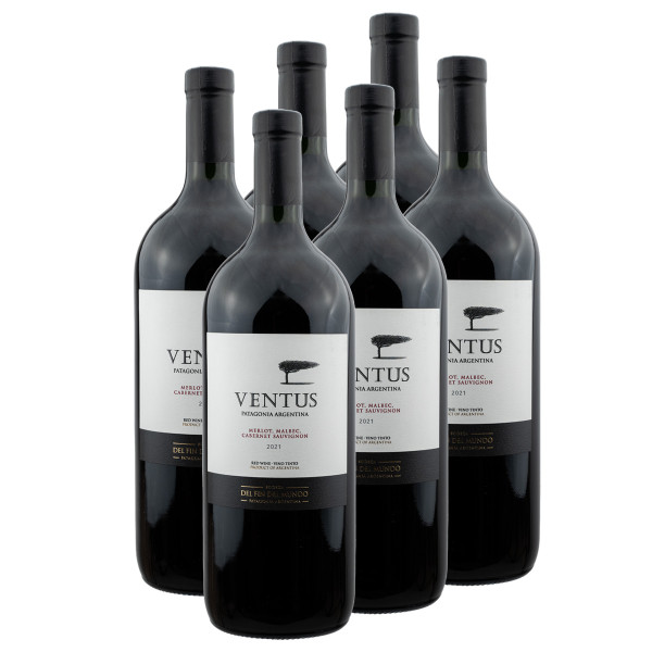 6 x Ventus Red Blend 1.5l (14%Vol.) - Rotwein, Fin del Mundo, Argentinien