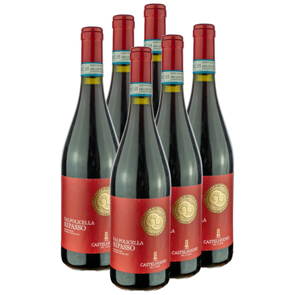 6 x Ripasso Valpolicella DOC 0,75l (13,5%Vol.) 2016