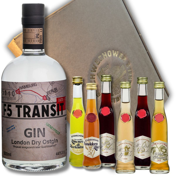 Präsent GIN + 6 Kleine Liköre (Mix) im Geschenkkarton - Schnapsgeschenk (BRD-DDR)